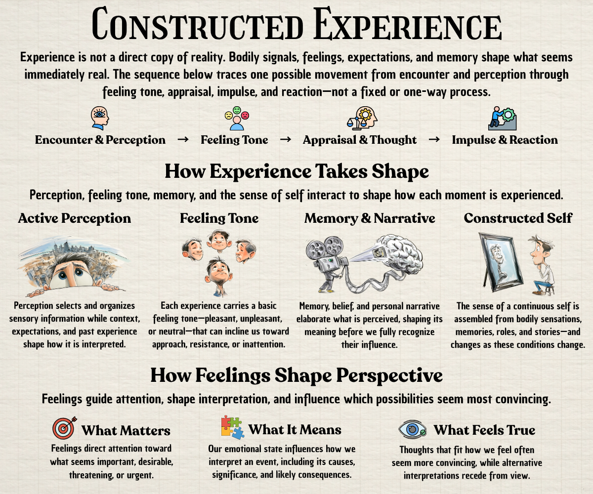 Infographic showing how perception, feeling tone, appraisal, memory, and self-narrative construct human experience.