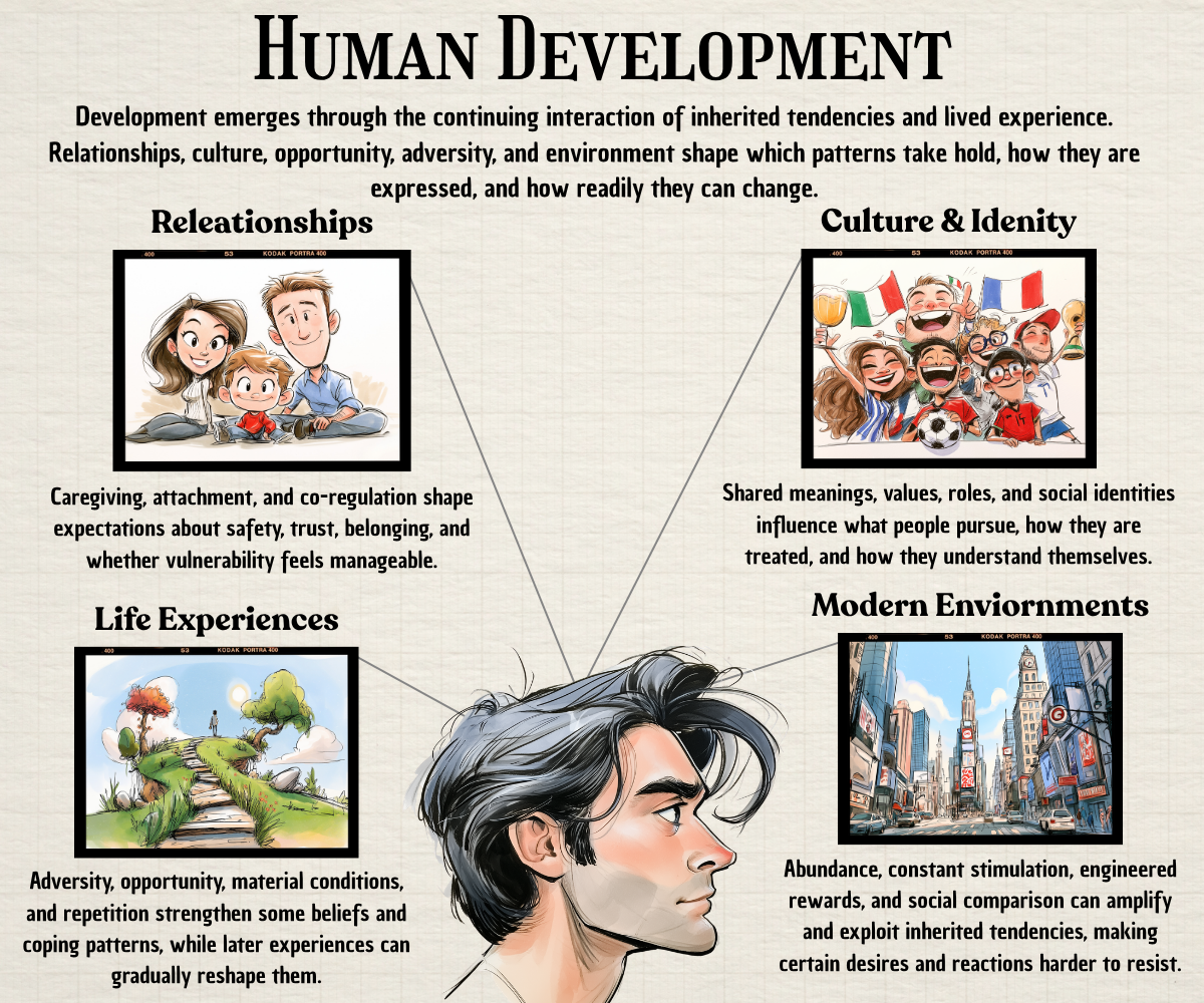 Infographic showing how relationships, culture, life experiences, and modern environments shape human development.