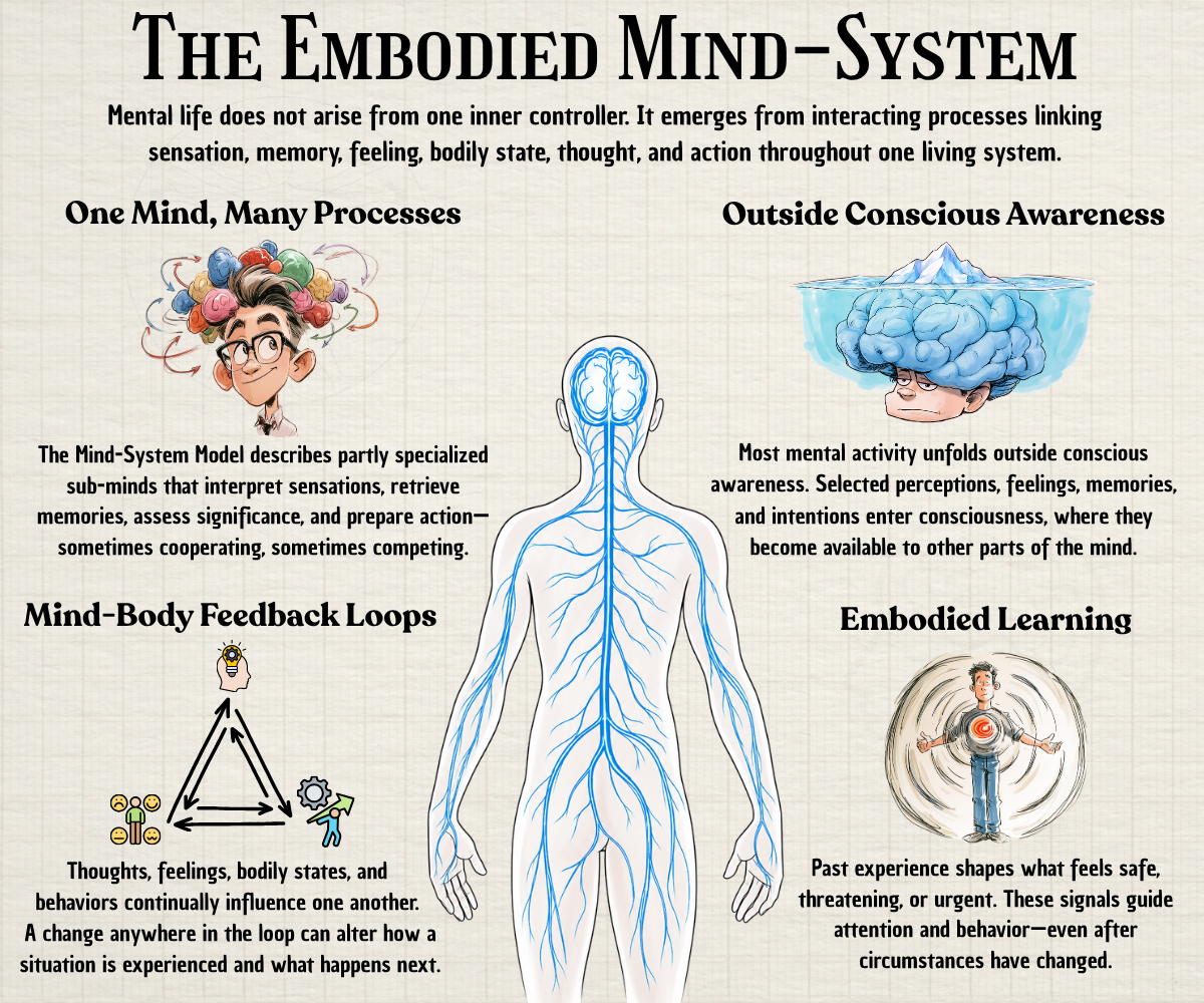 Infographic depicting the embodied mind-system through interacting processes, unconscious activity, feedback loops, and bodily learning.