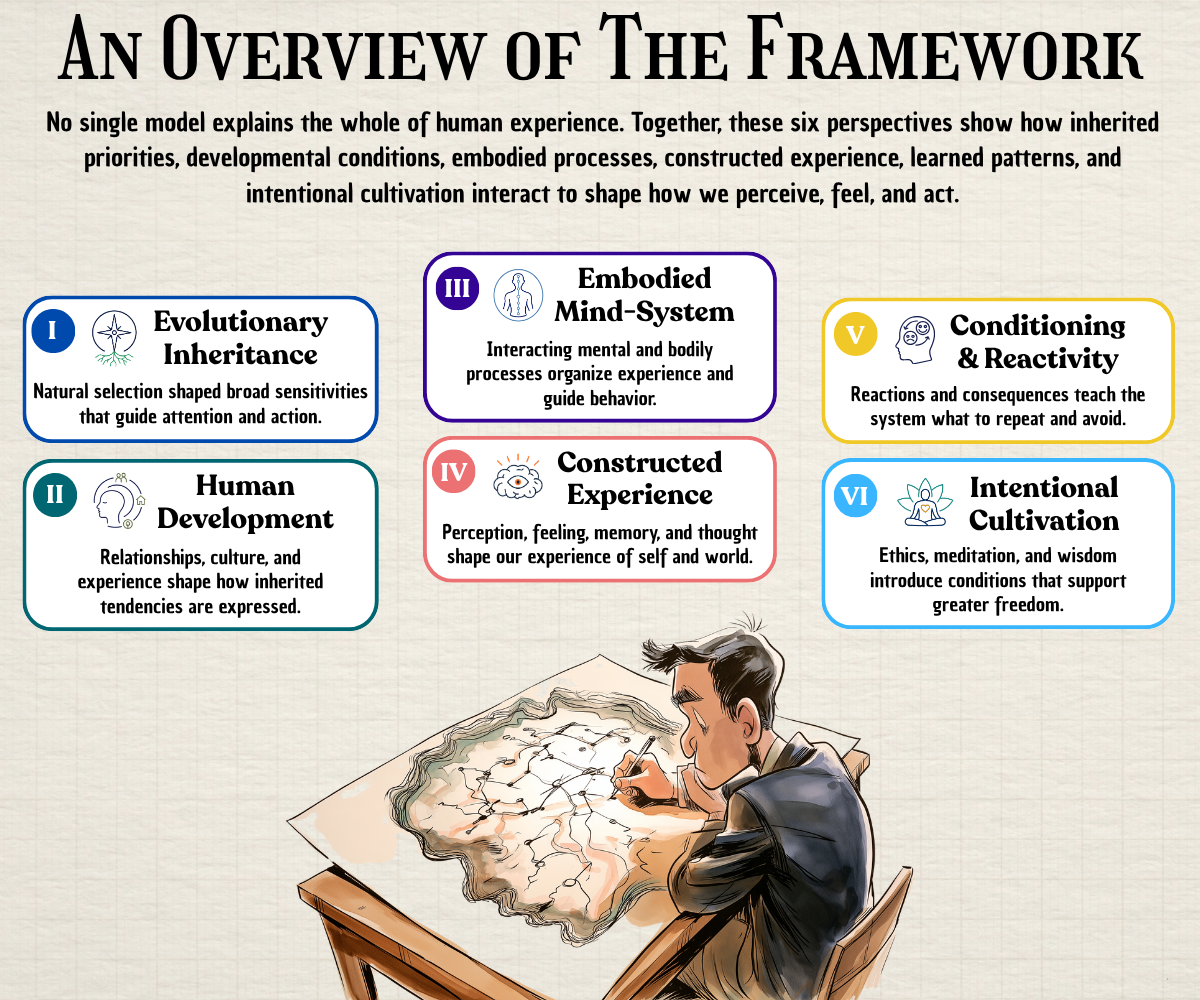 Infographic mapping six perspectives on the human condition, from evolutionary inheritance to cultivation and freedom.