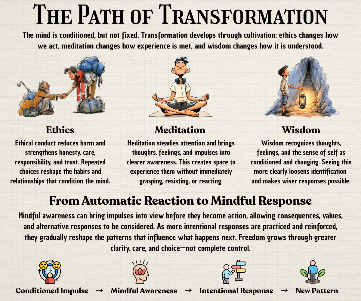 Infographic showing how ethics, meditation, and wisdom support movement from conditioned impulses to mindful responses.